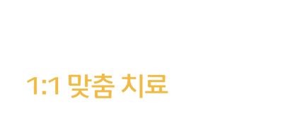 내용